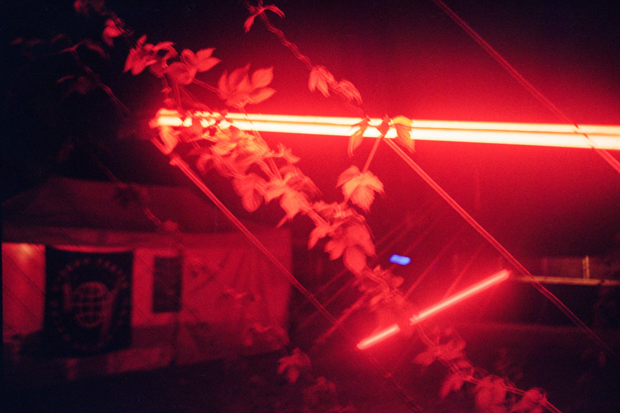 Creepy Teepee 2k26