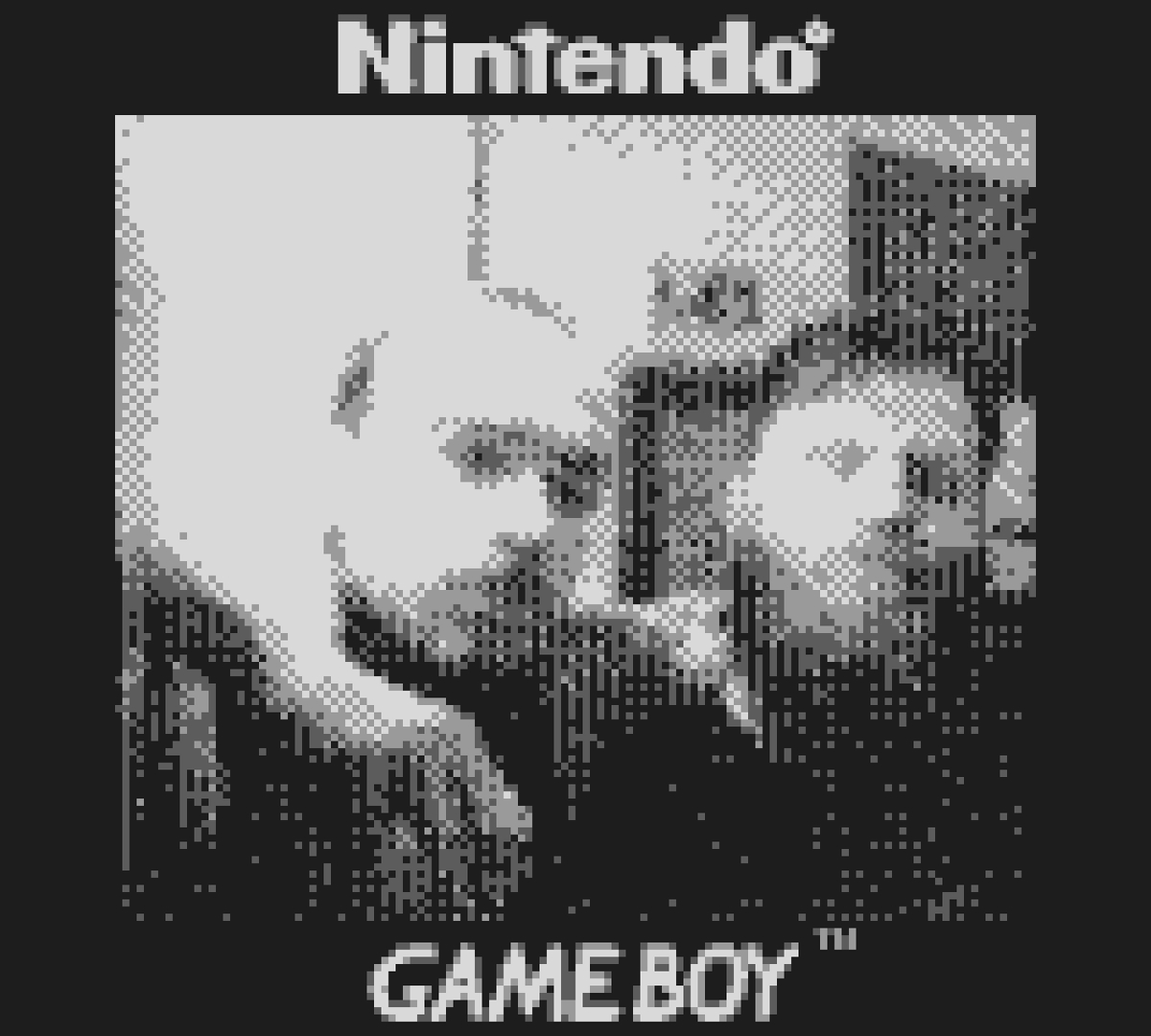 Game Girls & Game Boys